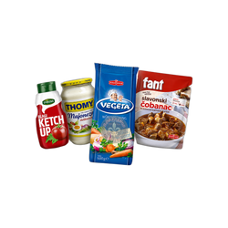 Začini